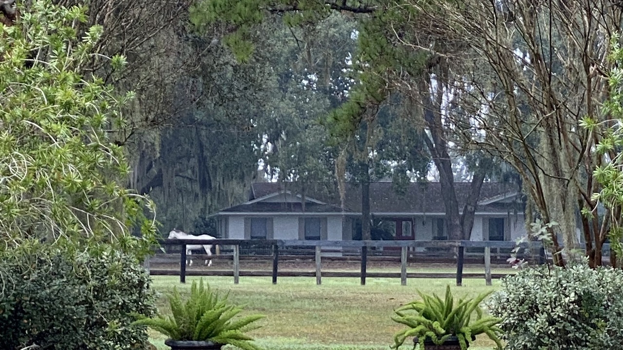 Photo of Outdoor in Ocala