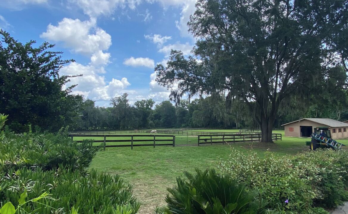 Photo of Outdoor in Ocala