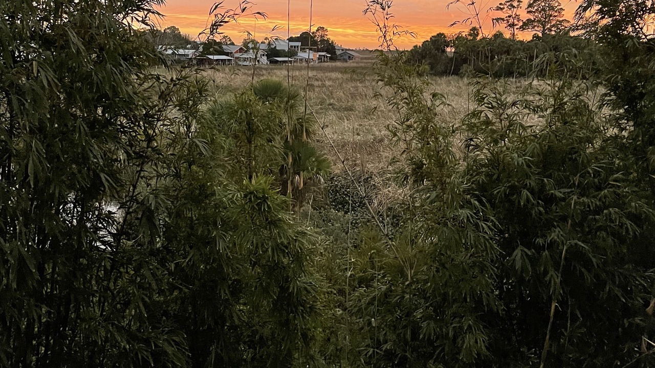 Photo of Outdoor in Suwannee