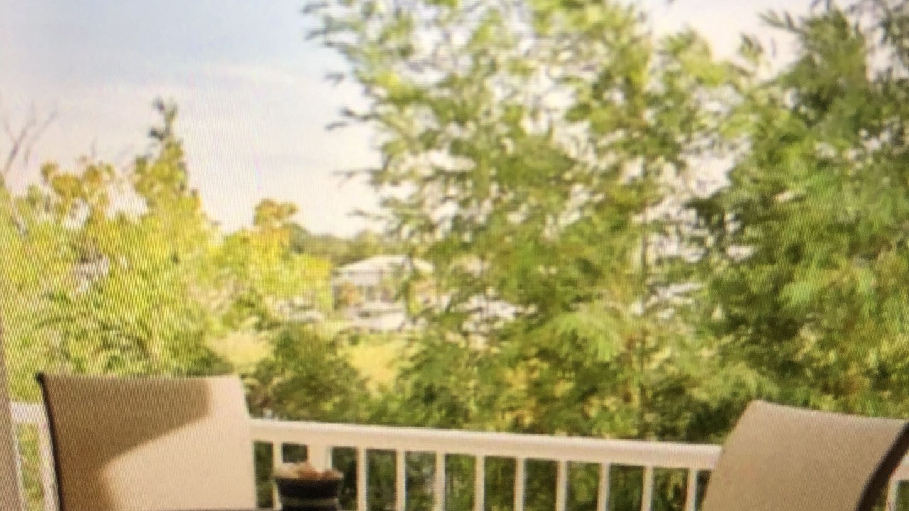 Photo of Outdoor in Suwannee