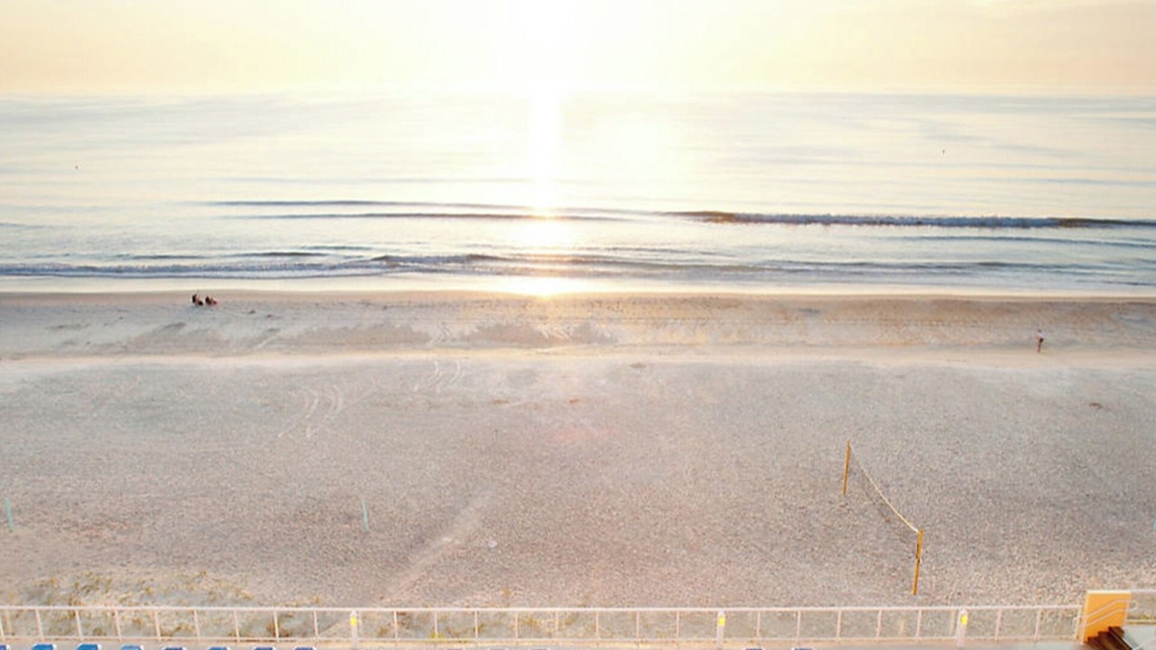 Photo of Others in Ormond Shores