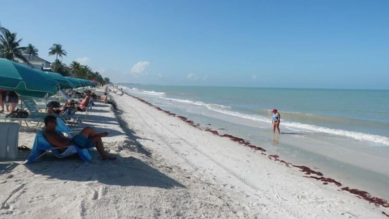 Photo of Others in Bonita Bay