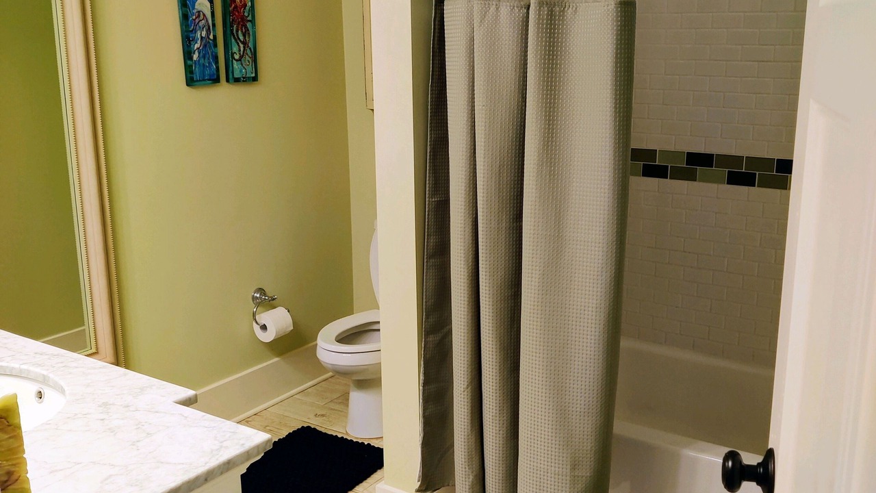 Photo of Bathroom in Dunedin