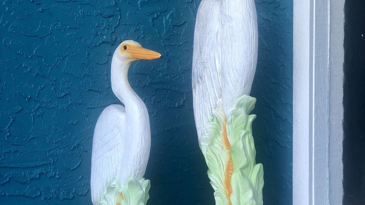 Photo of Outdoor in Tarpon Springs