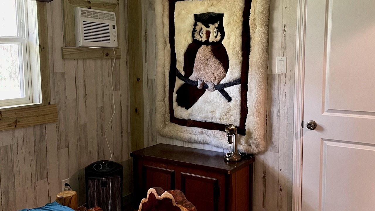 Photo of Bedroom in Candler