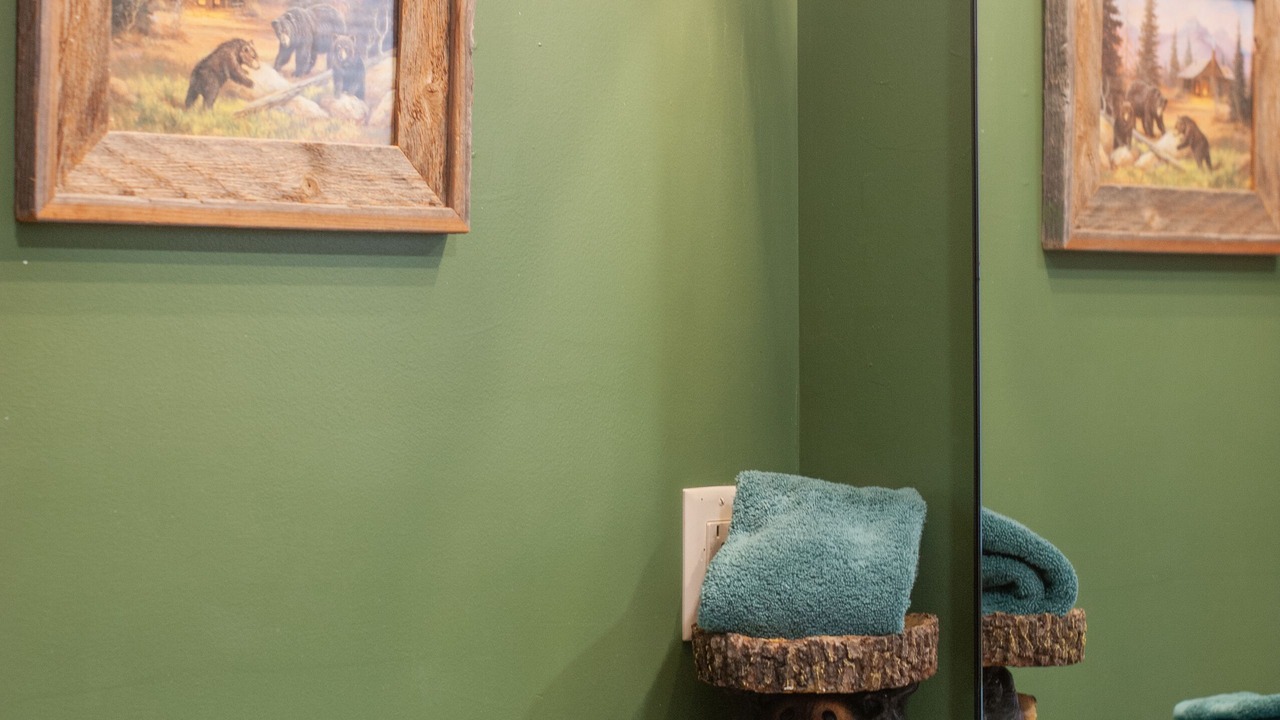 Photo of Bathroom in Rabun Gap