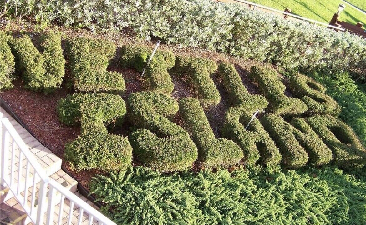 Photo of Outdoor in Nettles Island