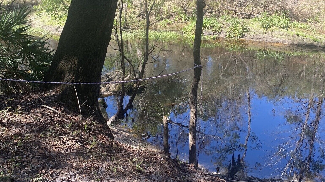Photo of Outdoor in Ridge Manor