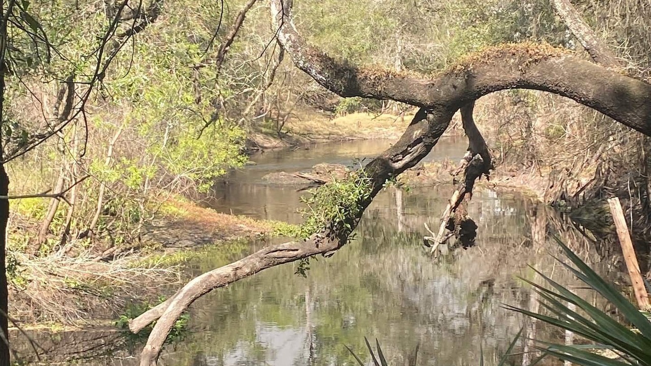 Photo of Outdoor in Ridge Manor