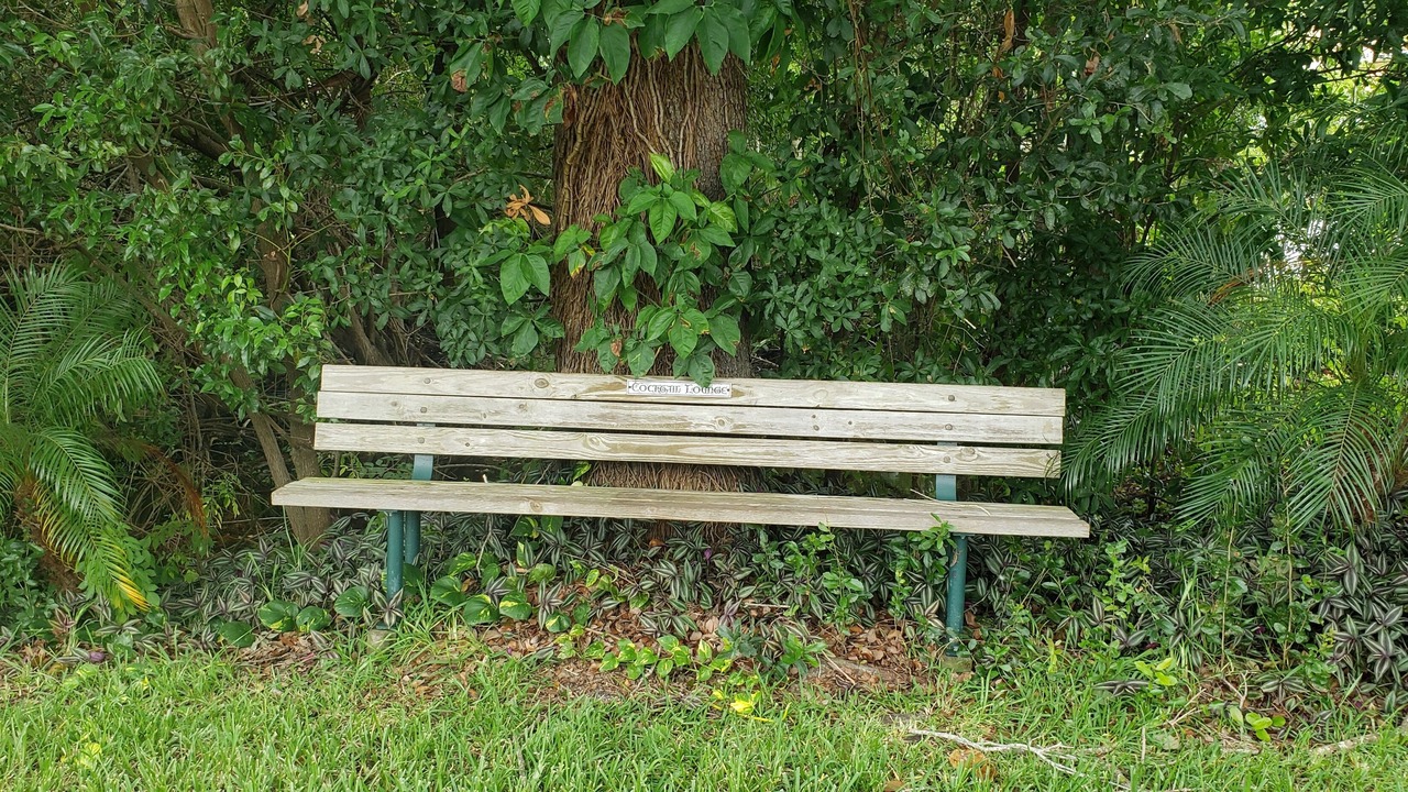 Photo of Outdoor in Auburndale