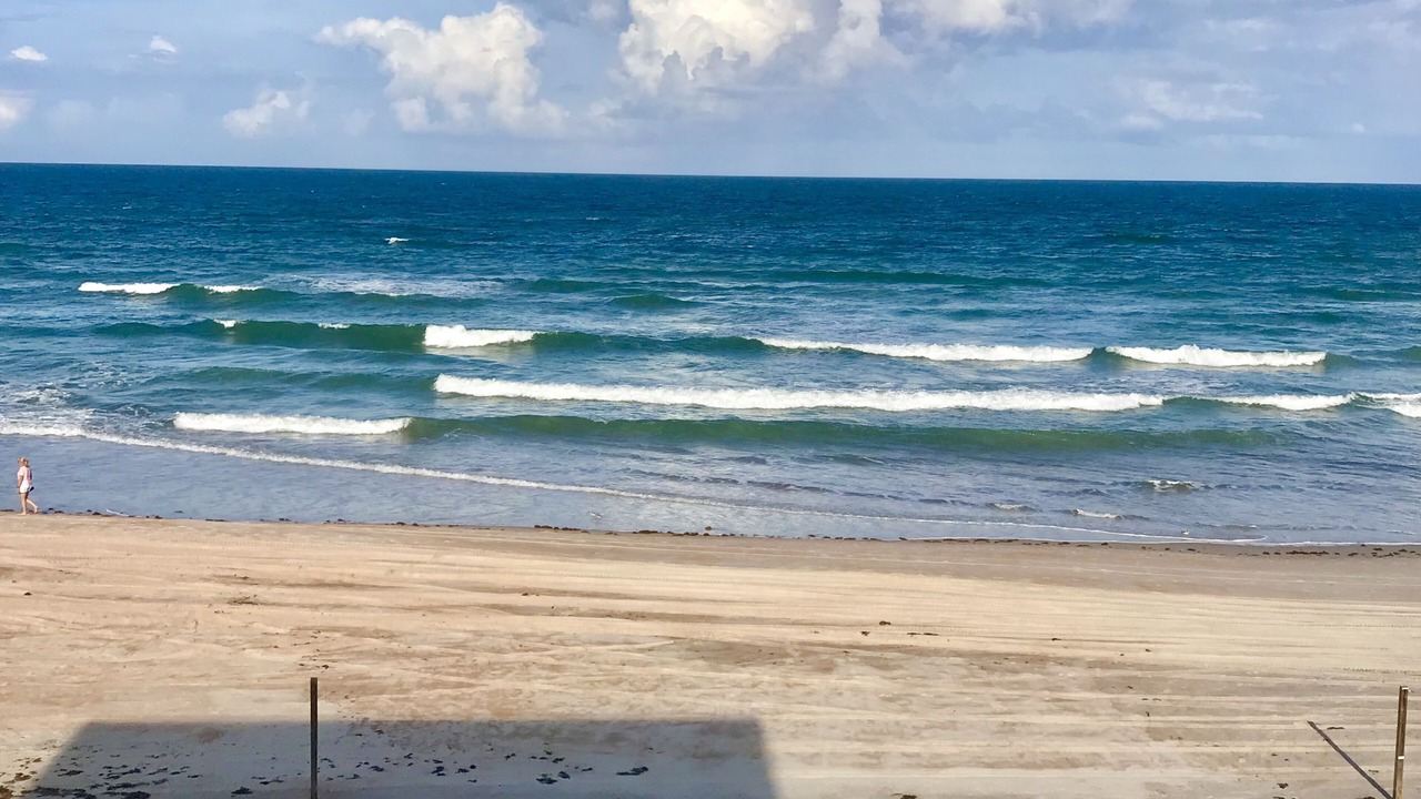 Photo of Others in Ormond Beach