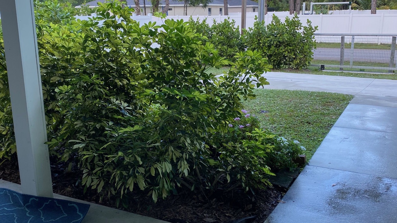 Photo of Outdoor in Jupiter