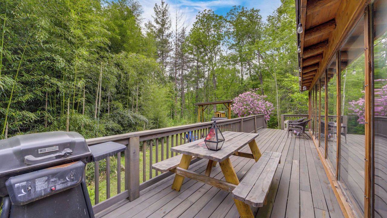 Photo of Outdoor in Canton