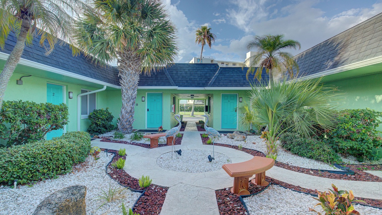 Photo of Outdoor in Dunedin