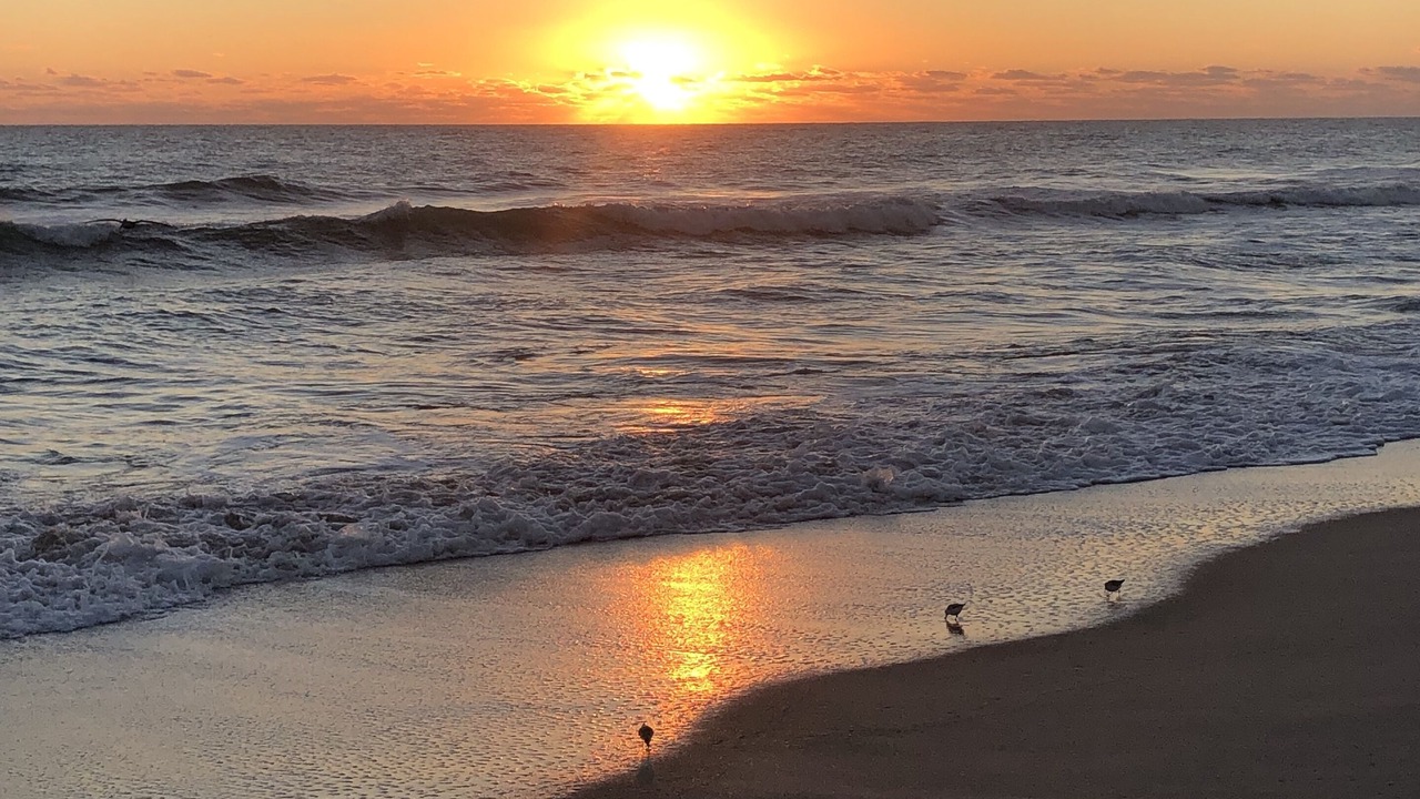 Photo of Others in Melbourne Beach
