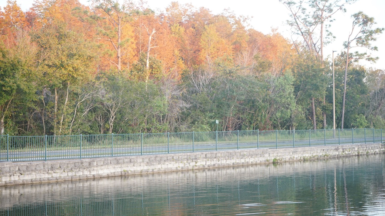 Photo of Outdoor in Venetian Bay Villages