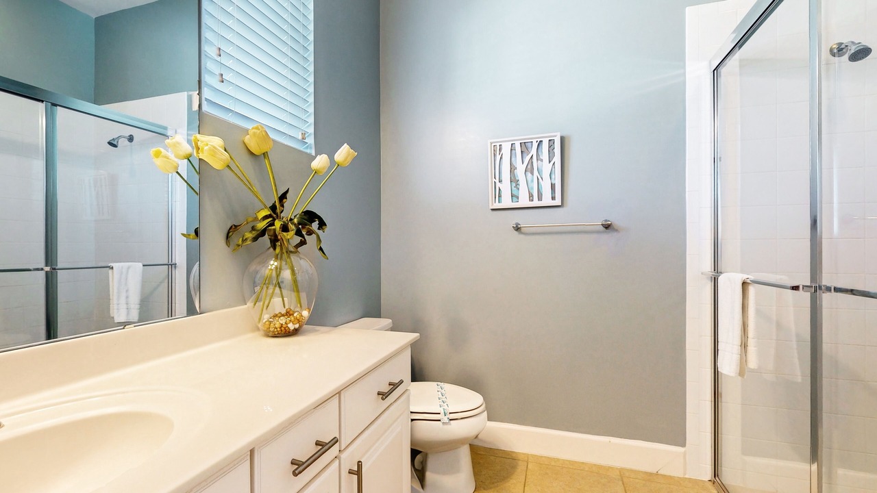 Photo of Bathroom in Reunion