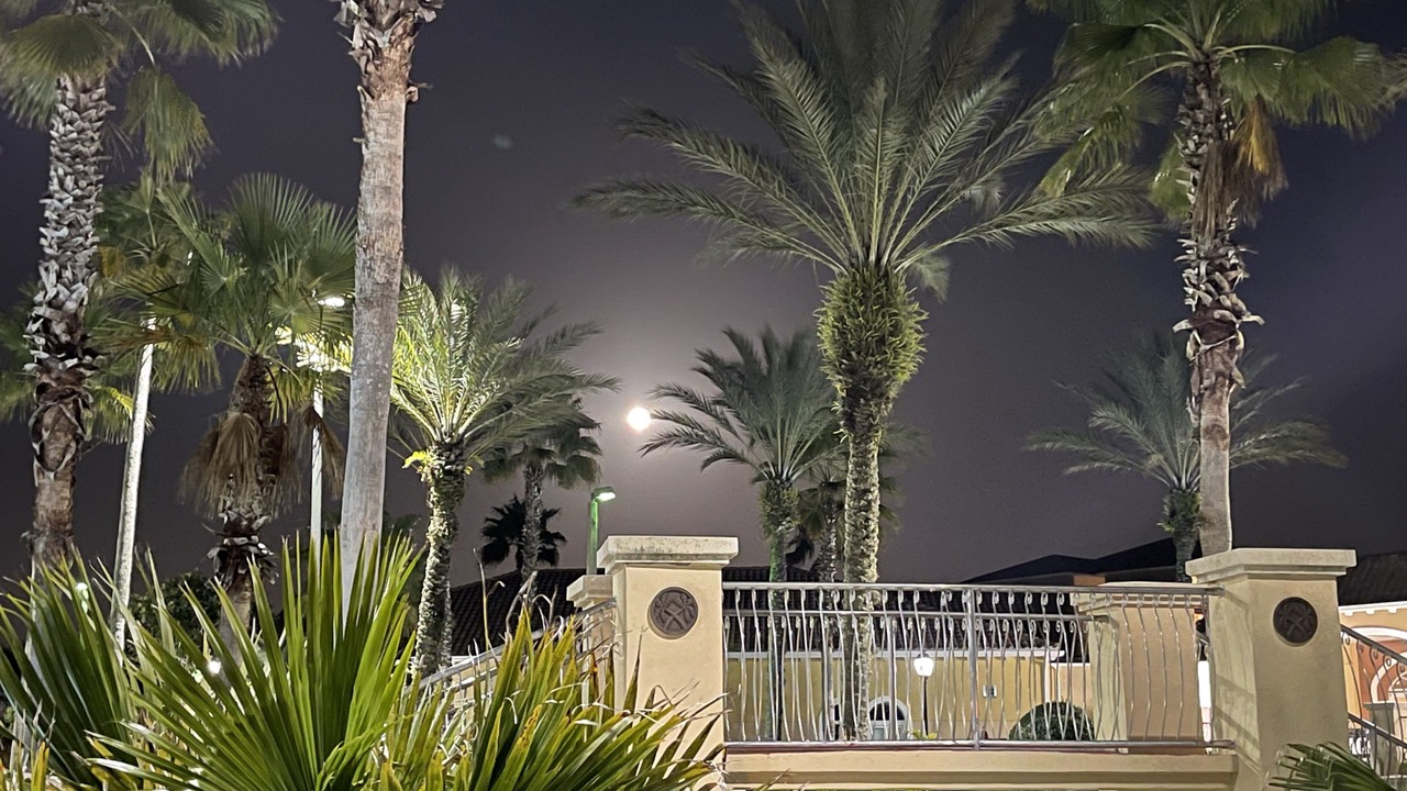 Photo of Others in Regal Palms