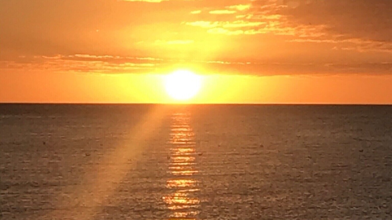 Photo of Others in North Naples