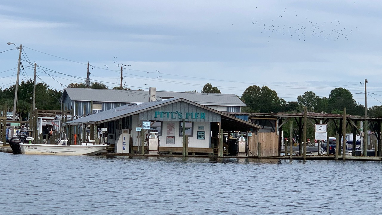 Photo of Outdoor in Springs at Kings Bay