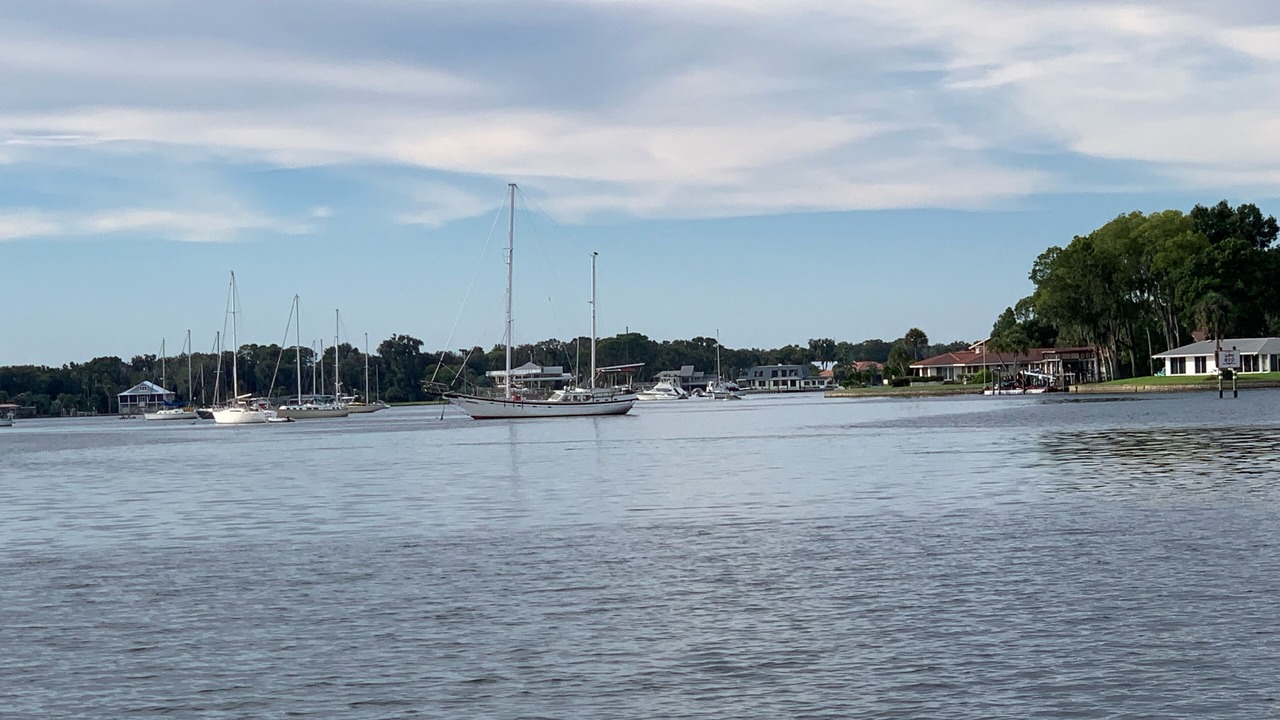 Photo of Others in Springs at Kings Bay