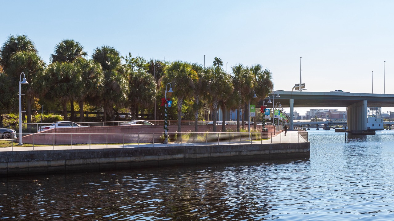 Photo of Others in Seminole Heights