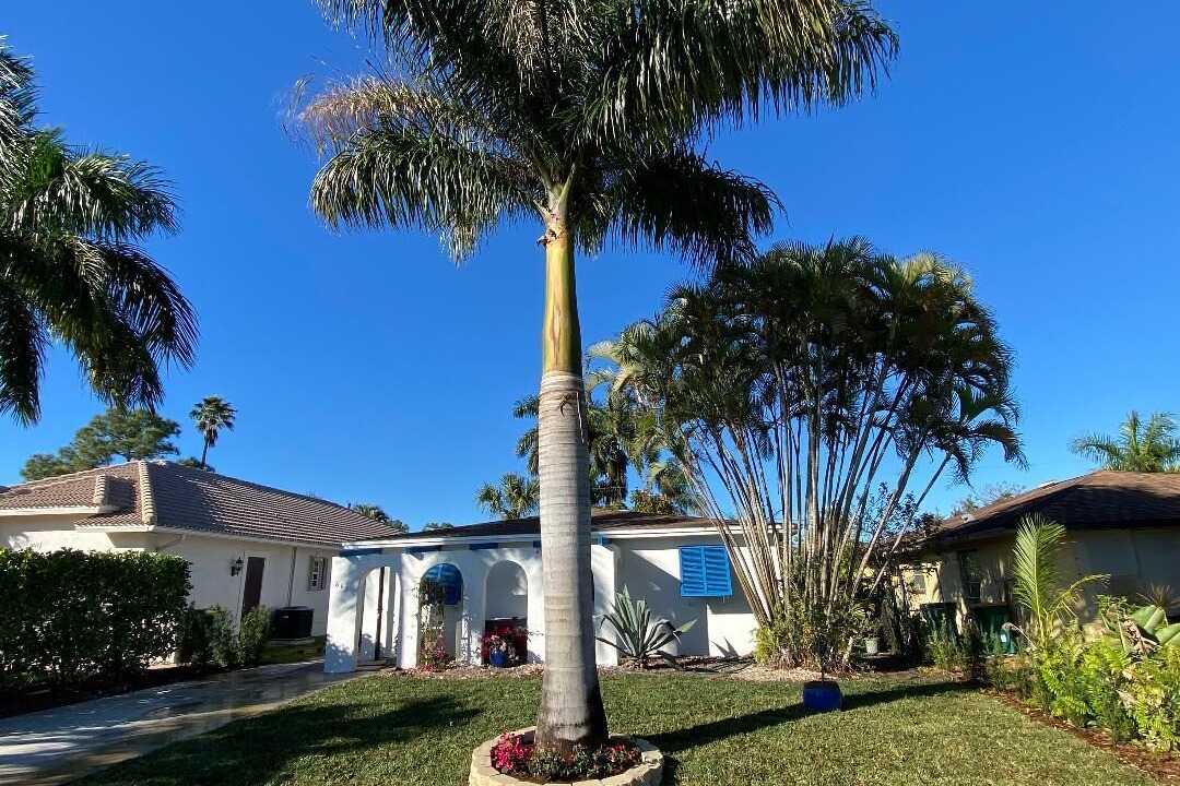 Photo of Outdoor in Naples Park