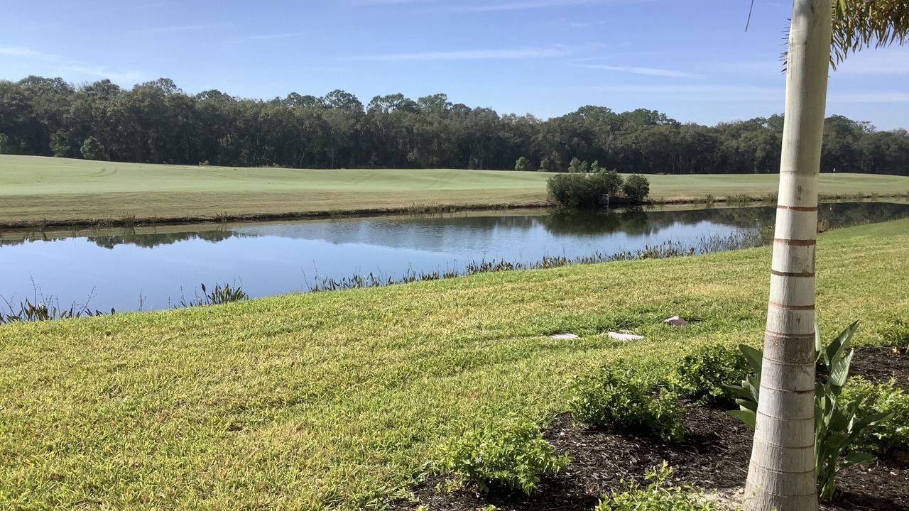 Photo of Others in Lakewood Ranch