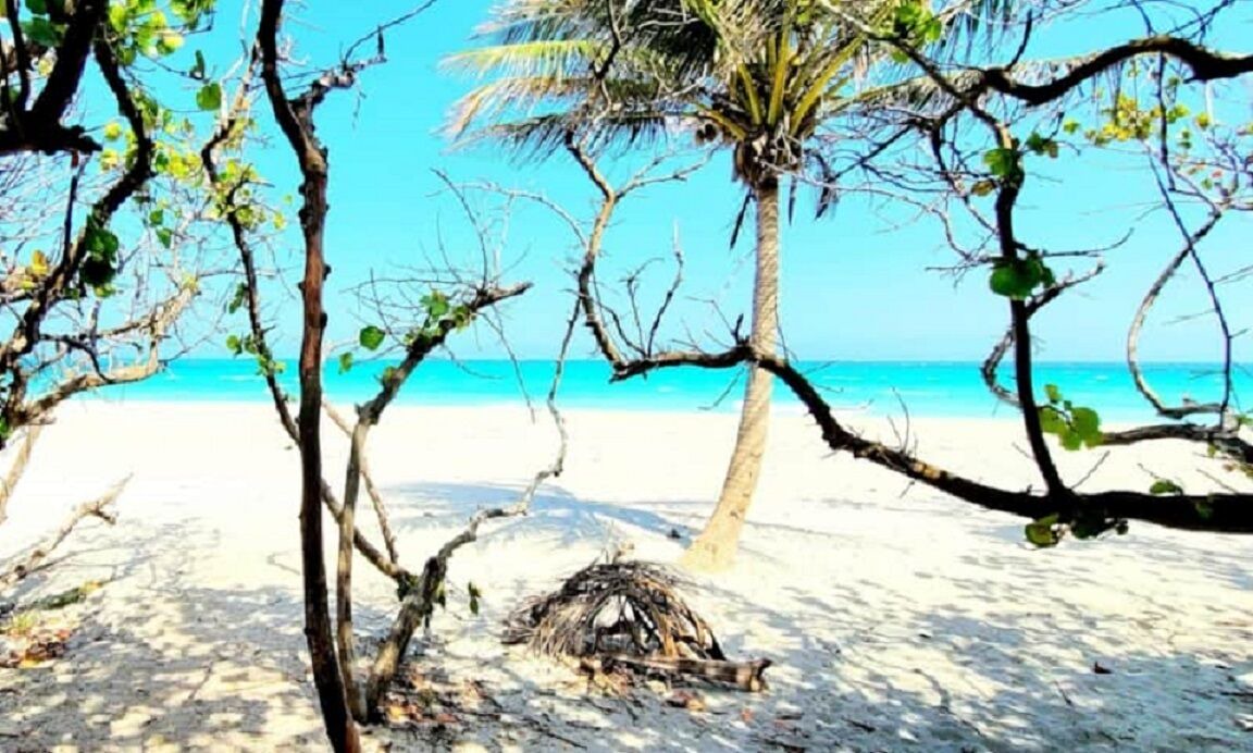 Photo of Others in Jupiter Bay
