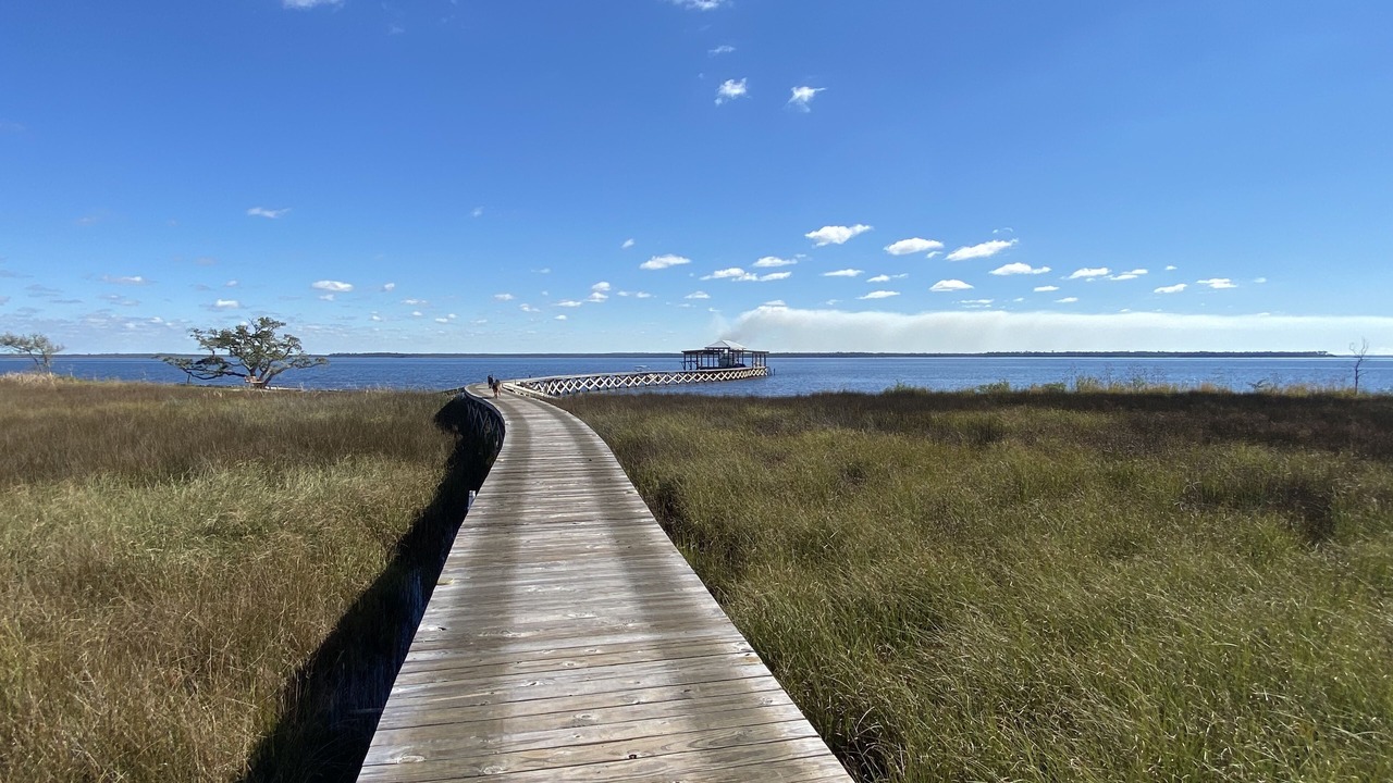 Photo of Others in Florida Panhandle