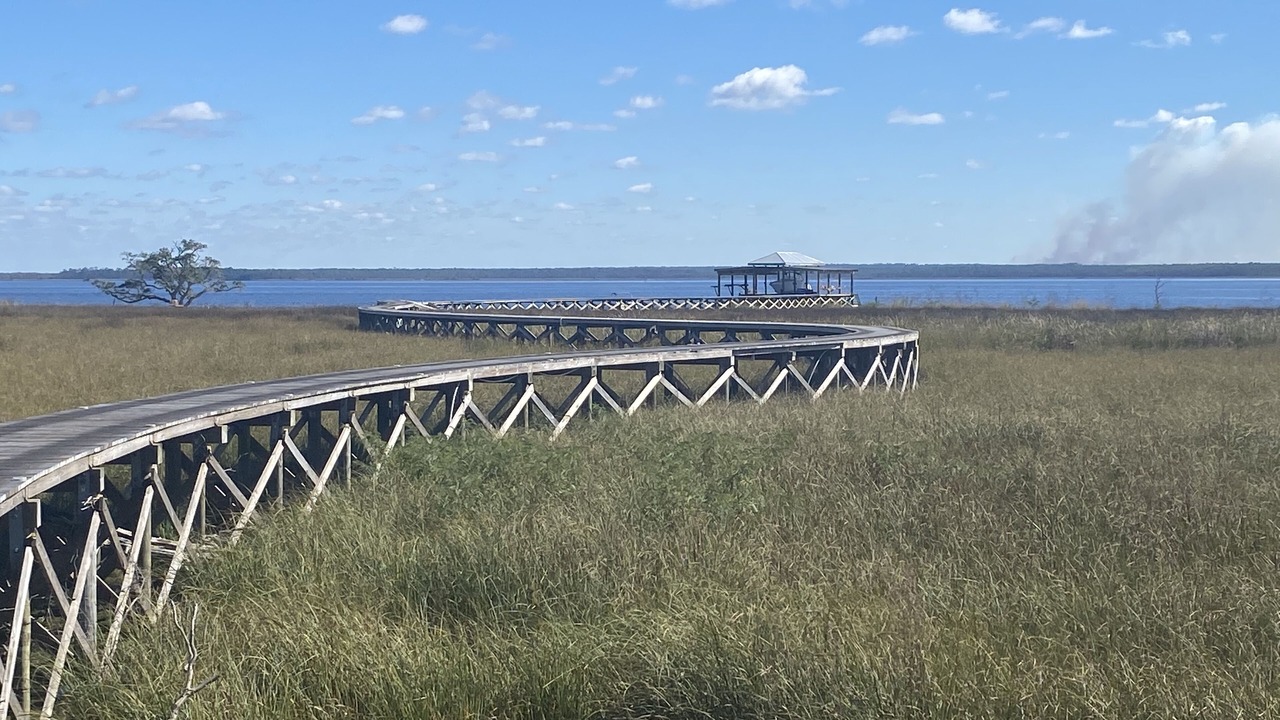 Photo of Others in Florida Panhandle