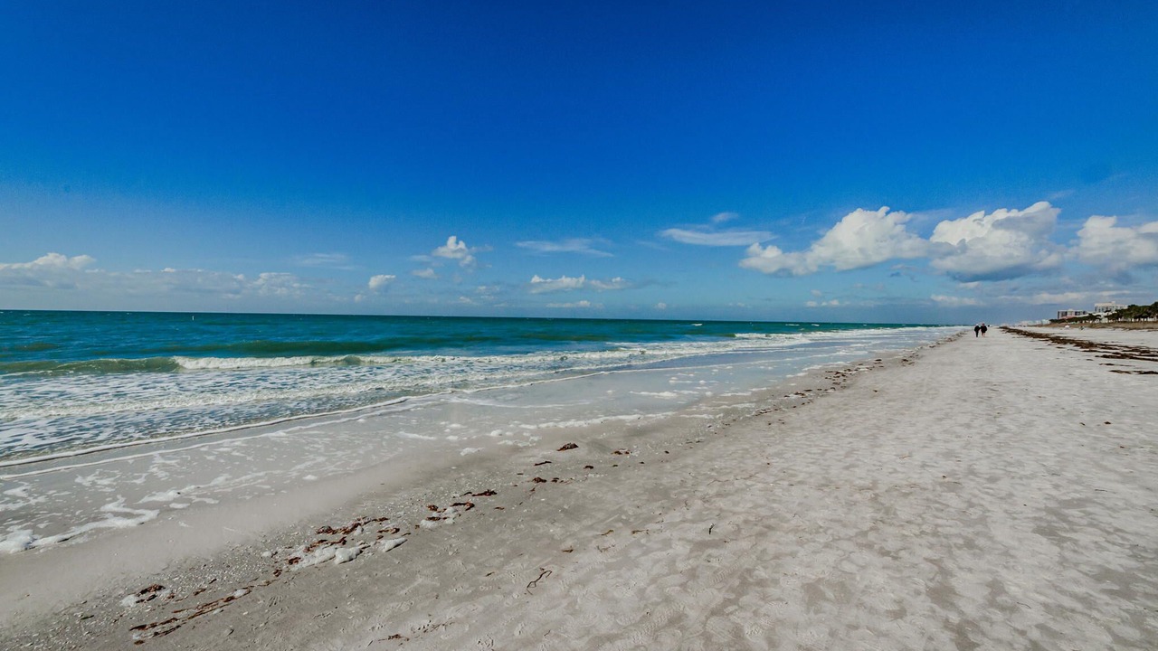 Photo of Others in Belleair Beach