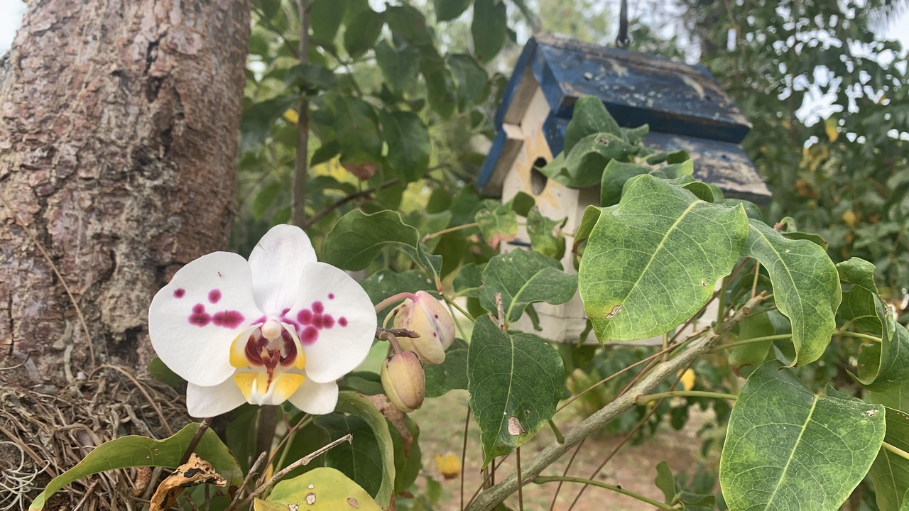 Photo of Outdoor in Saint James City