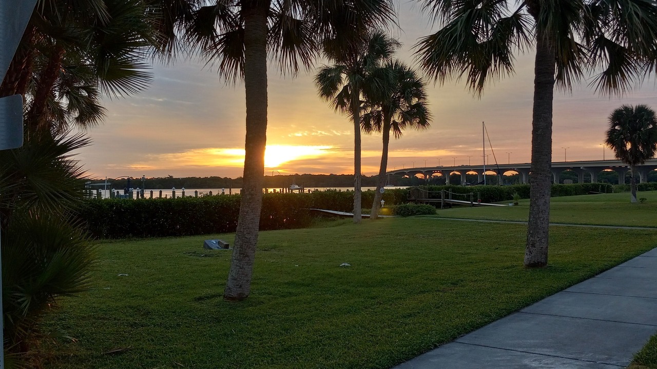 Photo of Others in Palm City