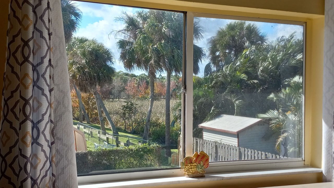 Photo of Others in Palm City
