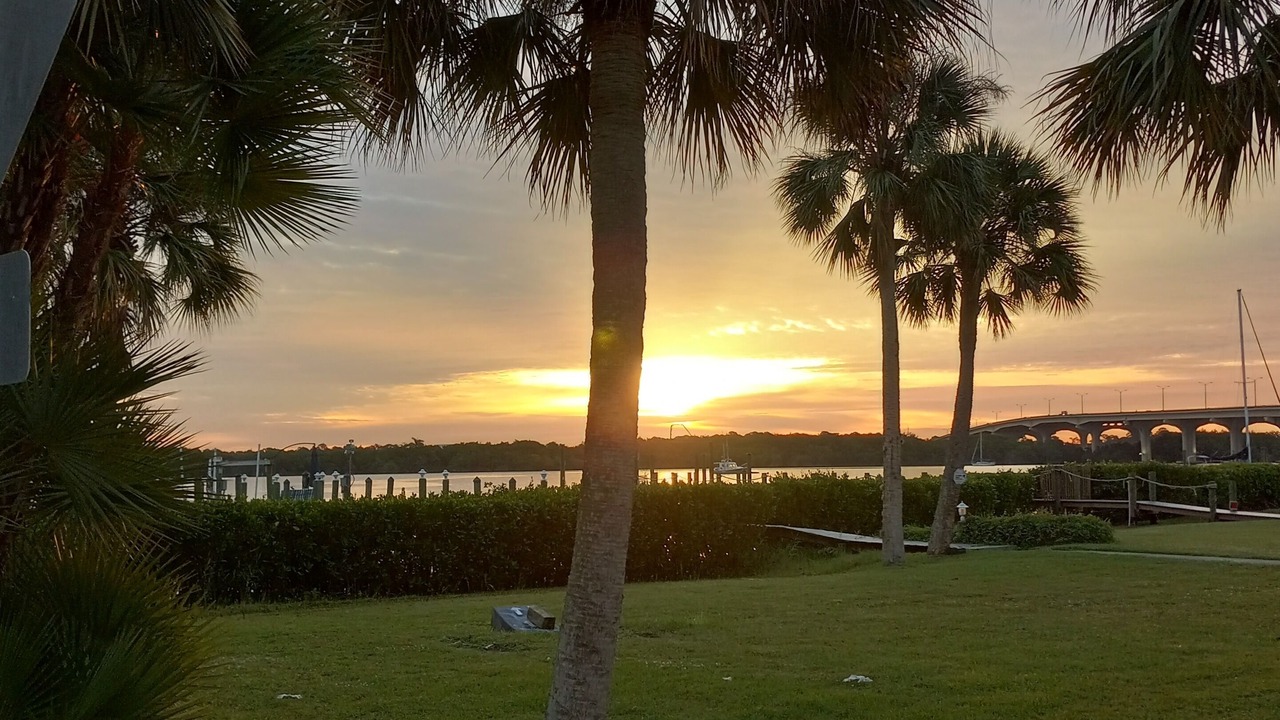 Photo of Others in Palm City