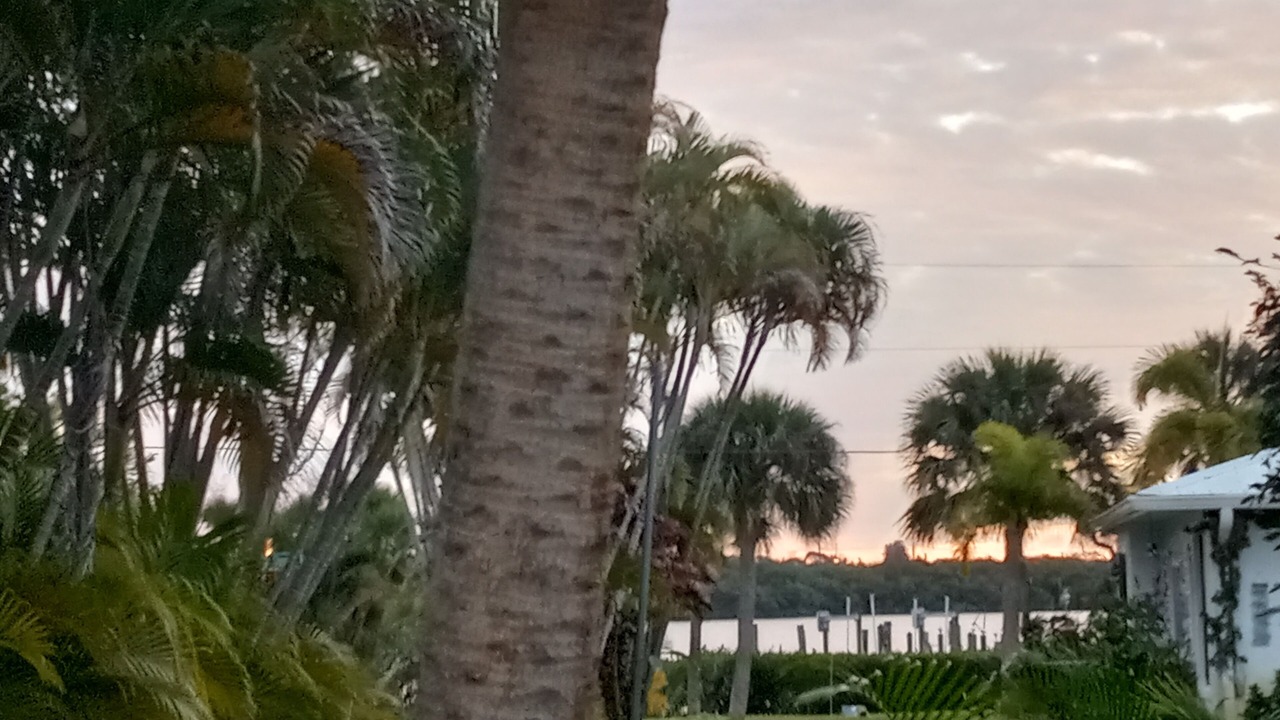 Photo of Outdoor in Palm City