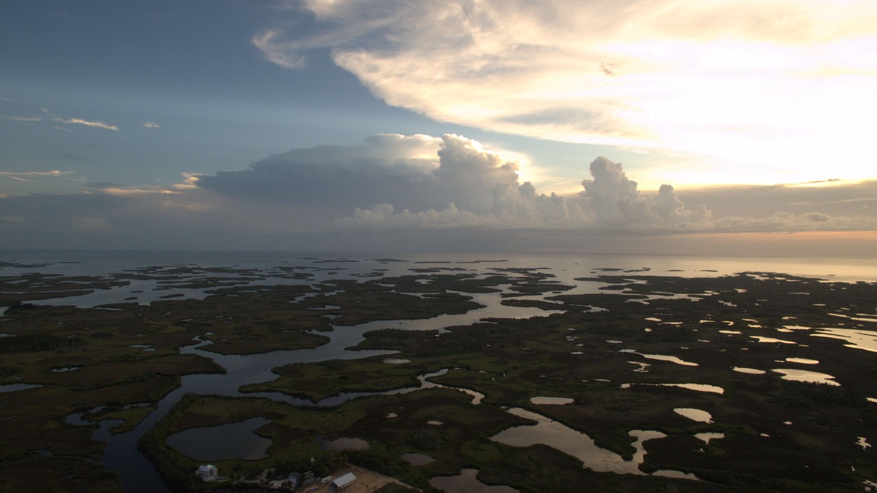 Photo of Others in Crystal River