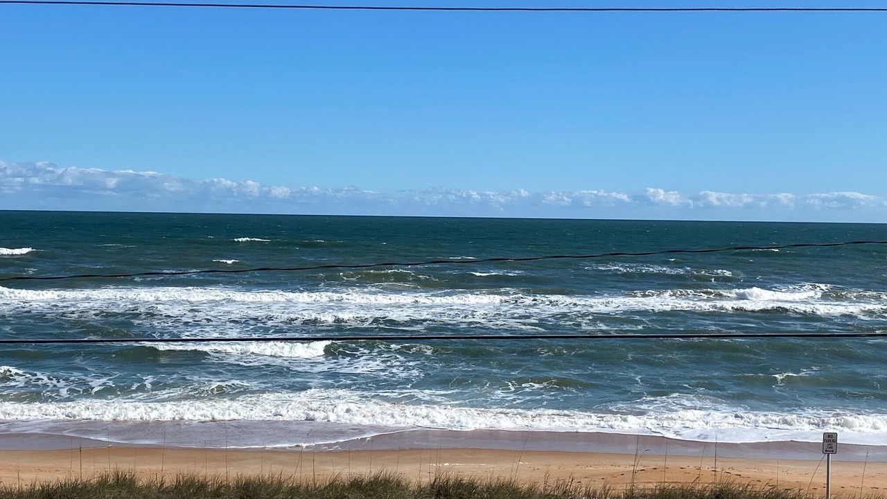 Photo of Others in Ormond-by-the-Sea