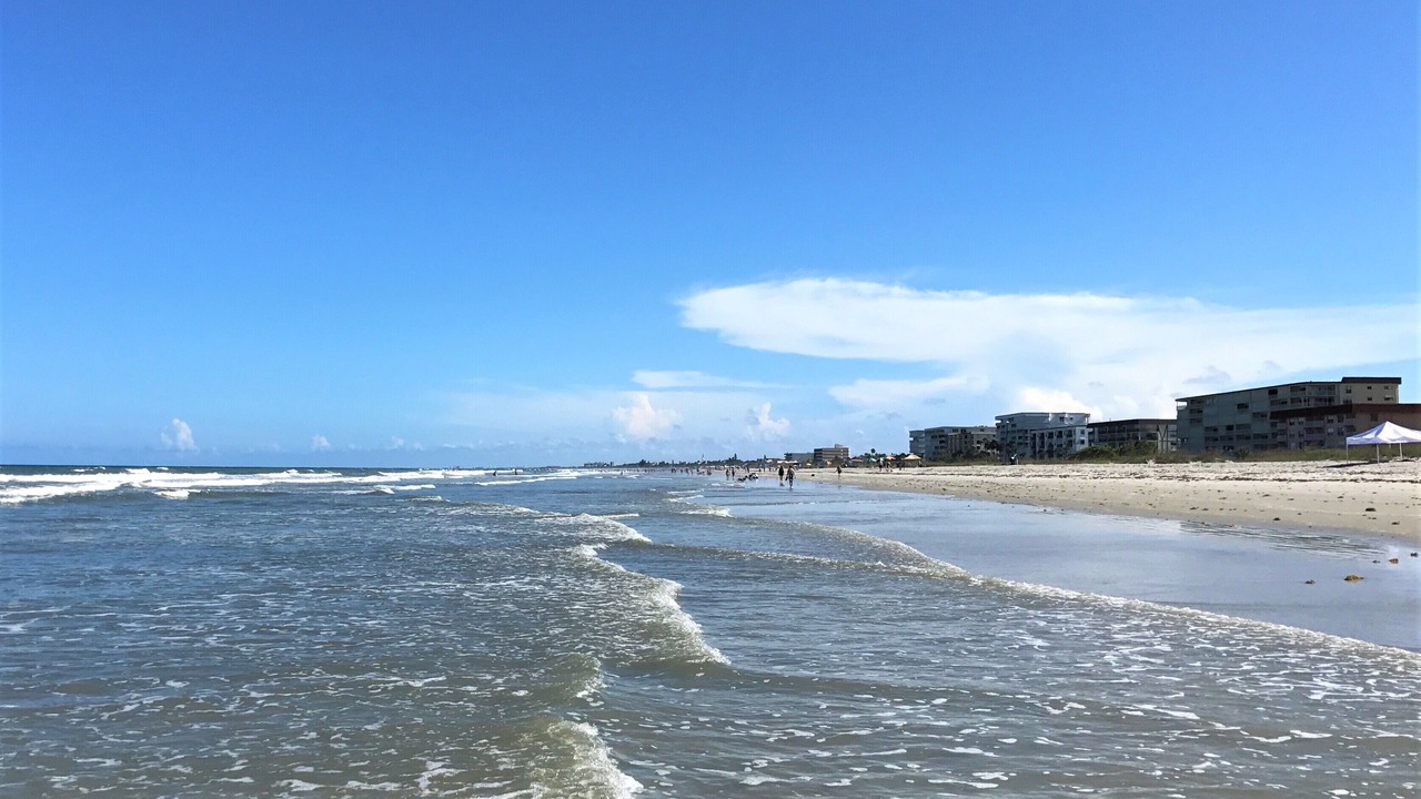 Photo of Others in Port Canaveral