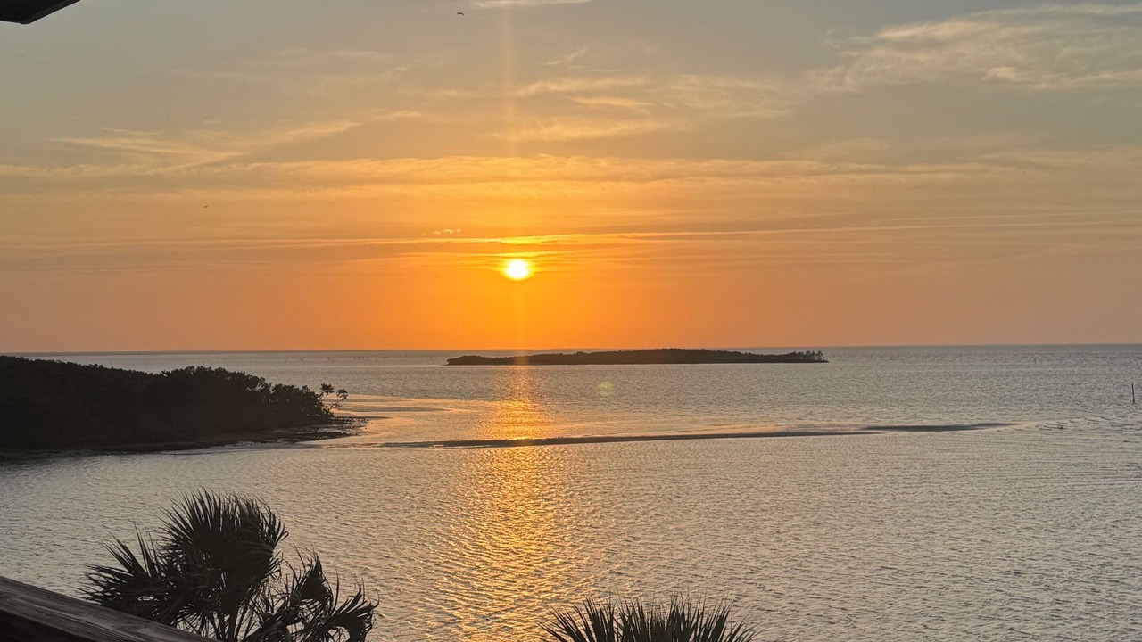 Photo of Others in Cedar Key