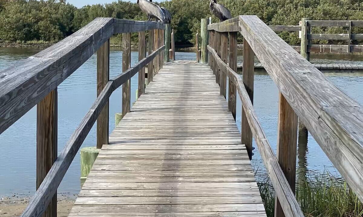Photo of Others in Cedar Key