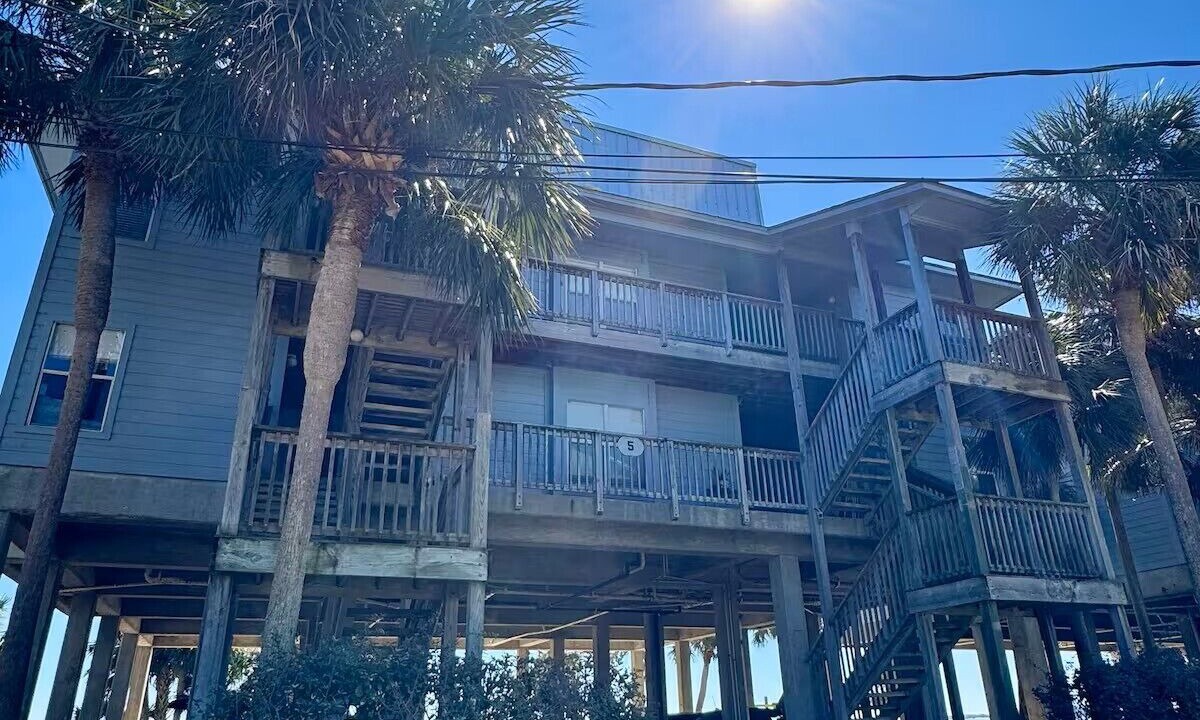Photo of Outdoor in Cedar Key