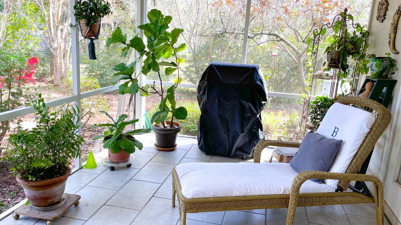 Photo of Outdoor in Dunnellon