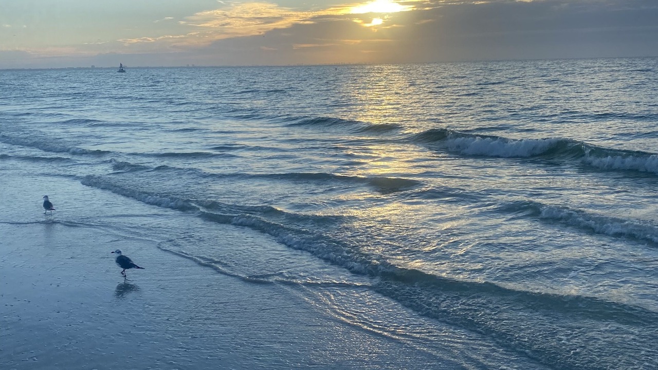 Photo of Others in North Port