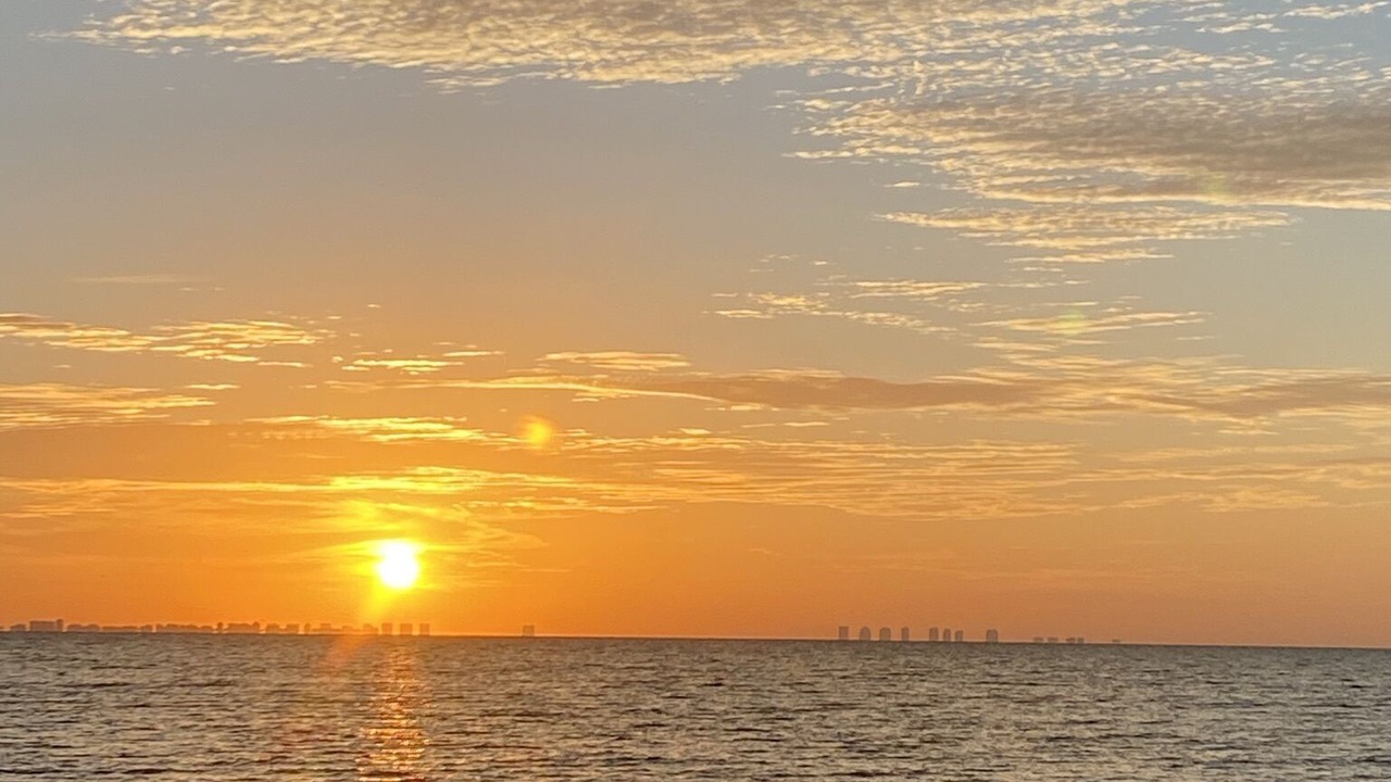 Photo of Others in North Port