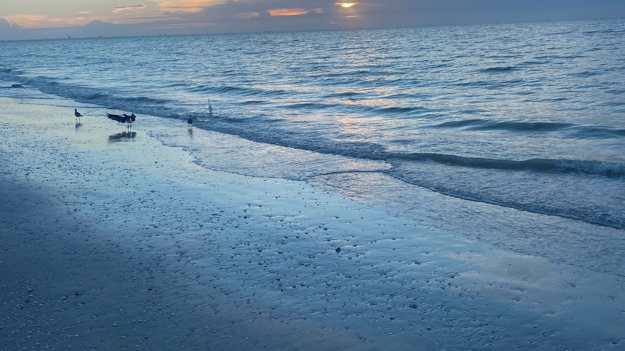 Photo of Others in North Port