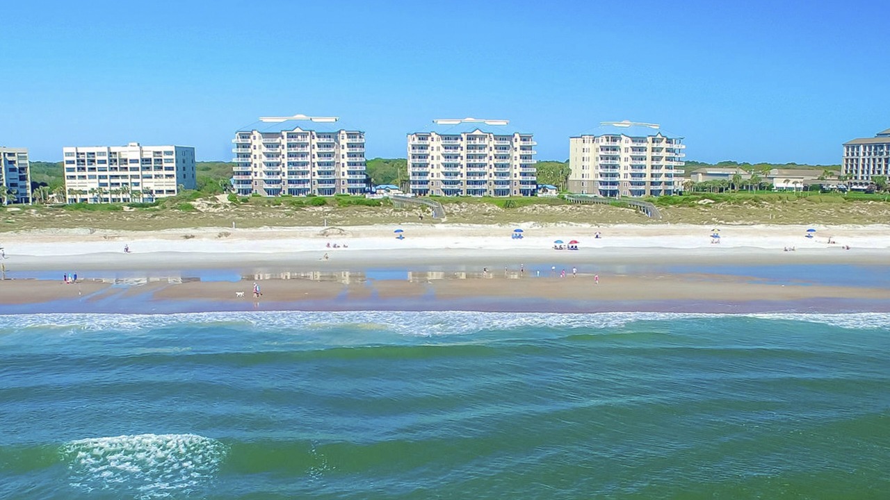 Photo of Others in Amelia City