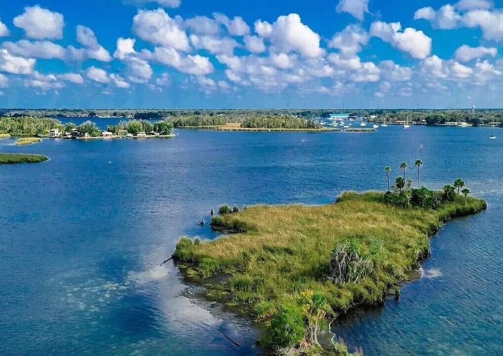 Photo of Others in Crystal River