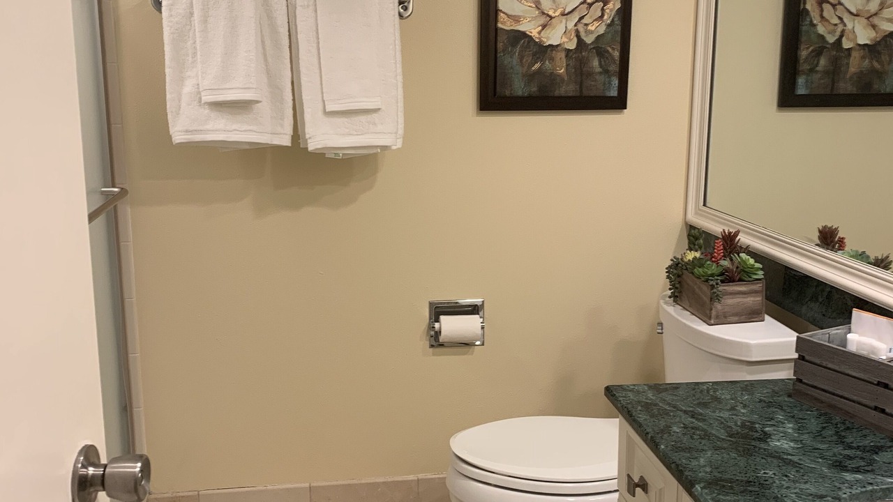 Photo of Bathroom in Wesley Chapel